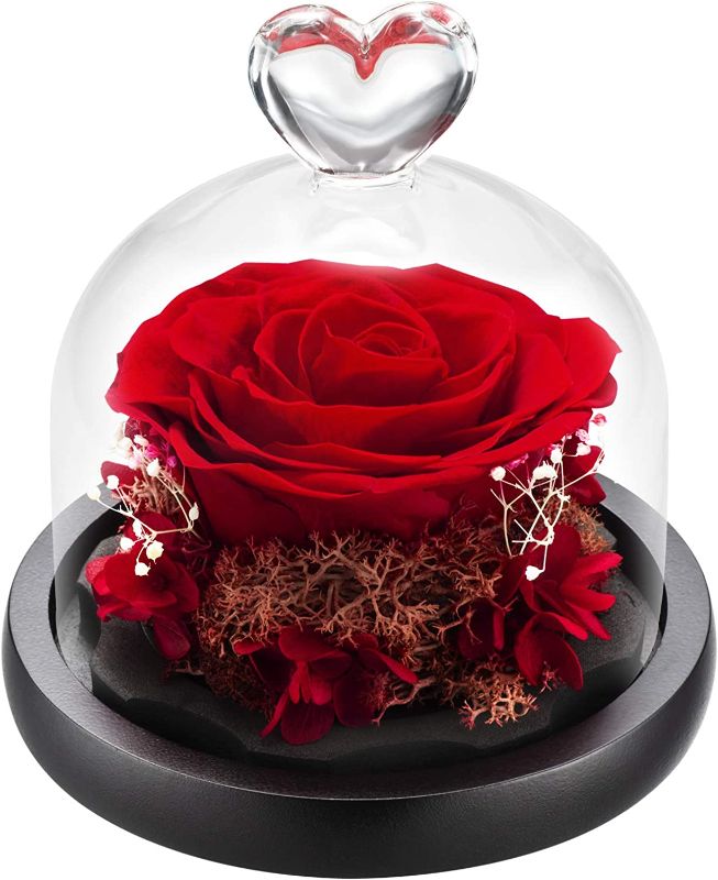 Photo 1 of  Enchanted Rose Flower Box Gift for Valentines Birthday Anniversary Mother's Day Christmas(Red)
