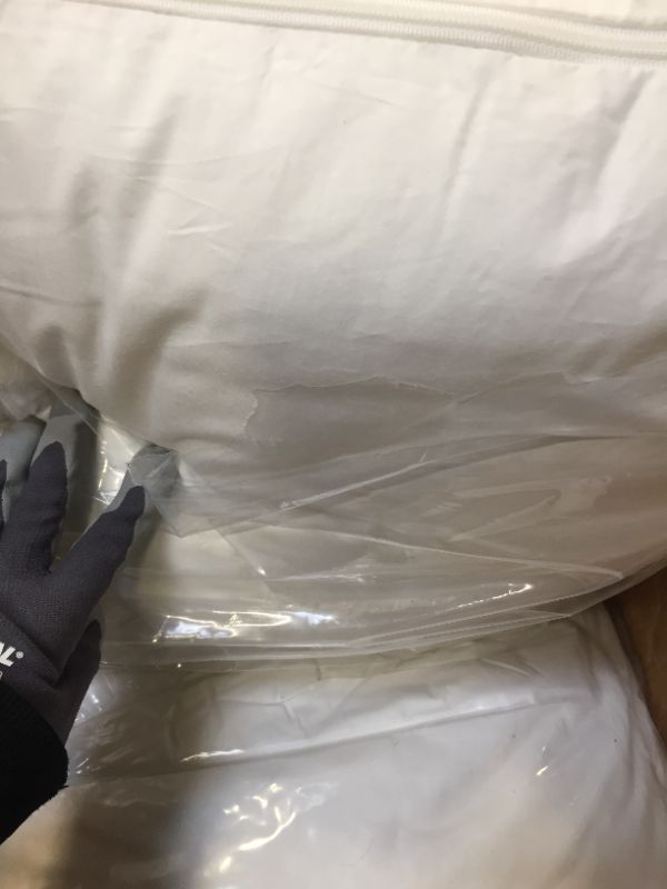 Photo 1 of 2 king pillows with removable pillowcase--pillows are 2 different brands (ore-tex and accuratex)