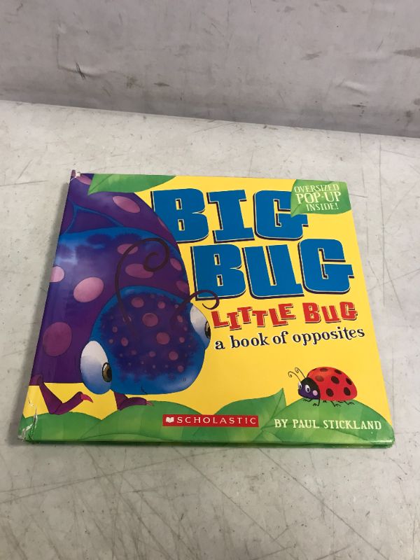 Photo 2 of Big Bug, Little Bug Hardcover 
