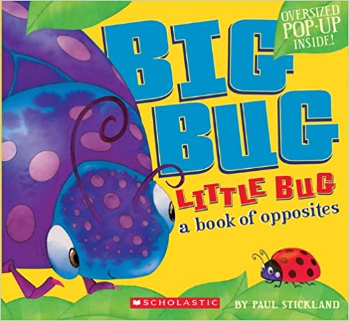 Photo 1 of Big Bug, Little Bug Hardcover 
