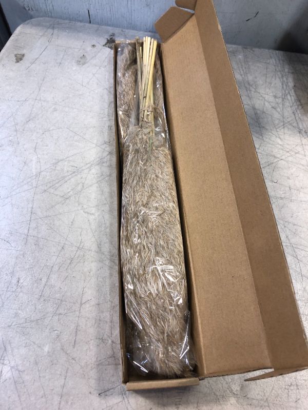 Photo 1 of 30 Stems Dried Pampas Grass, Pompas Grass for Farmhouse Decor Boho Decor,17" Bulk Pampas Grass Wedding Boho Flowers Home Table Office Decor Rustic Decor (Brown)