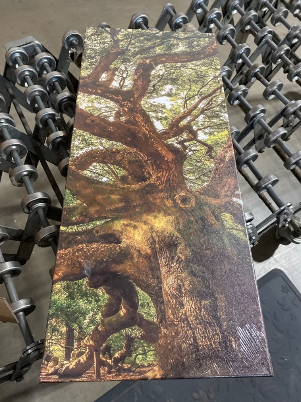 Photo 4 of  Large Canvas Wall Art Old Angel Oak Tree Picture Prints Gallery Wraped 5 Pieces