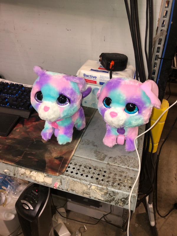 Photo 2 of FurReal friends FRR WALKALOTS Cotton and Candy Pack