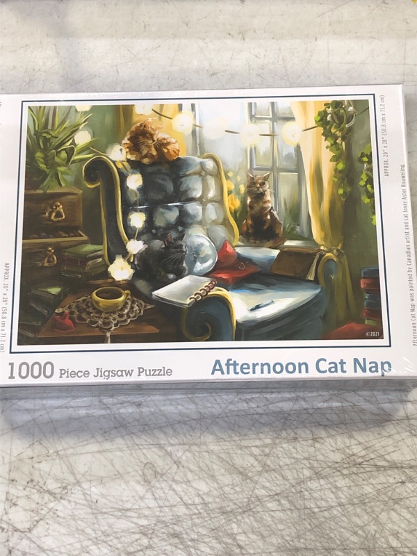 Photo 1 of 1000 Piece Jigsaw Puzzle afternoon cat nap 