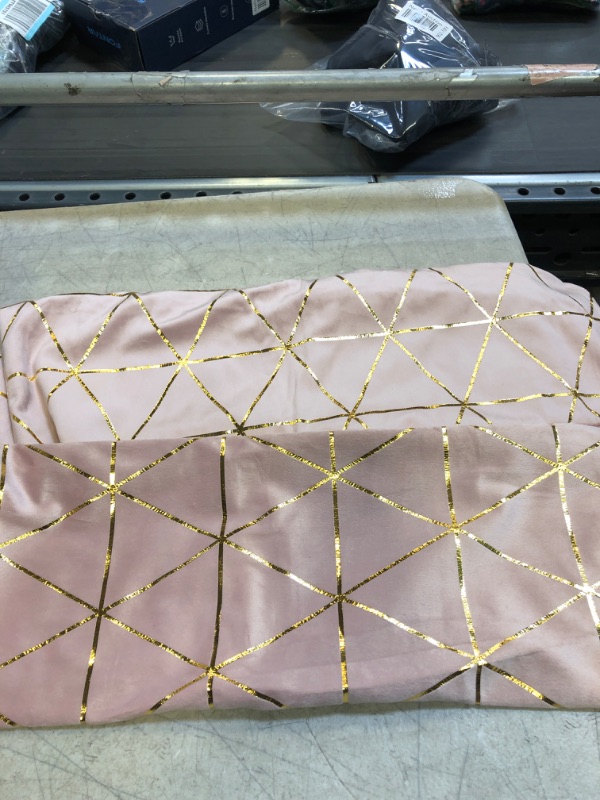 Photo 1 of 2 PC PINK AND GOLD PILLOW CASES 