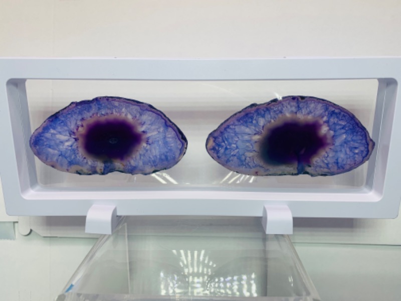 Photo 1 of 892772…2 agate slices in 9 x 4” display 