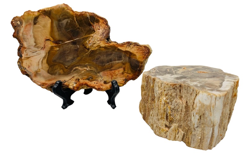 Photo 1 of 893080…2 pieces of  petrified wood with one stand 