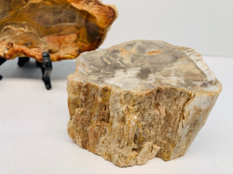 Photo 2 of 893080…2 pieces of  petrified wood with one stand 