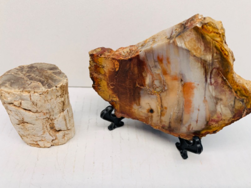 Photo 2 of 893094…2 pieces of petrified wood with one stand 3 x 4” and  2 x 3”