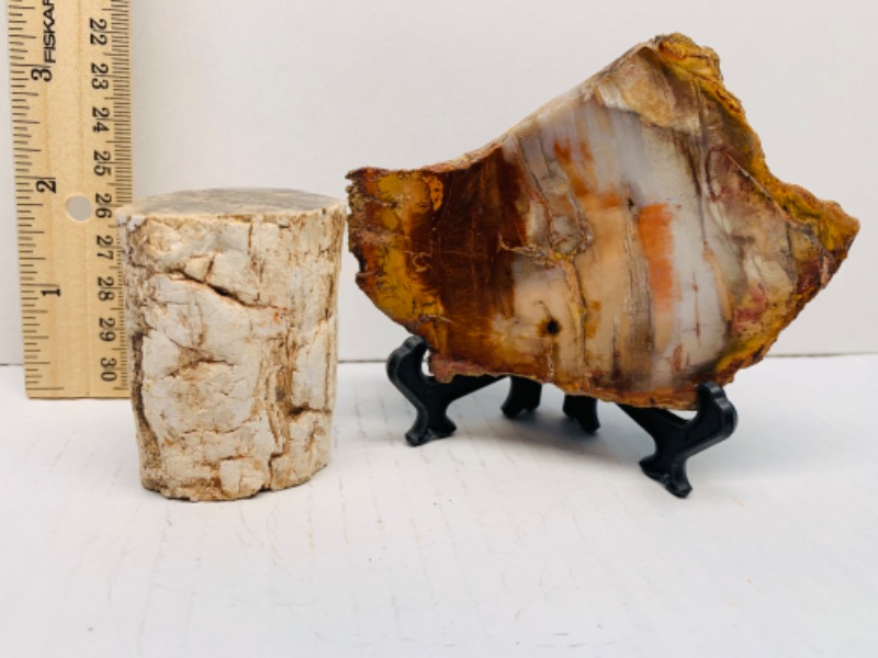 Photo 3 of 893094…2 pieces of petrified wood with one stand 3 x 4” and  2 x 3”