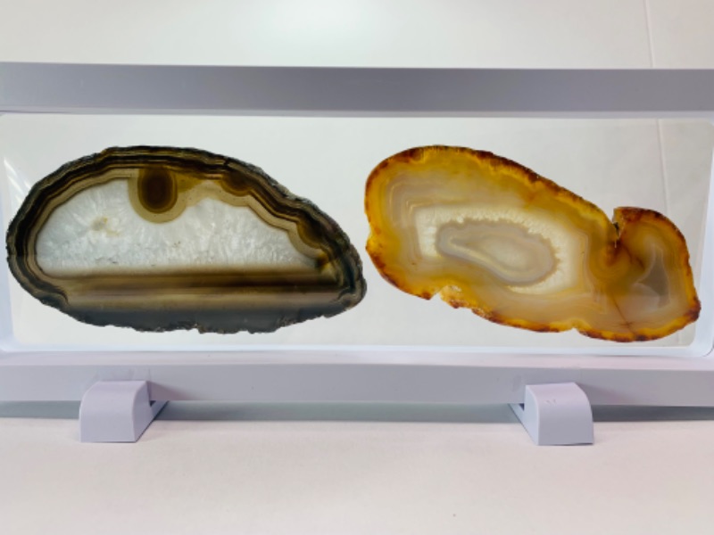 Photo 1 of 893185… 2 agate slices in 9 x 4” display 