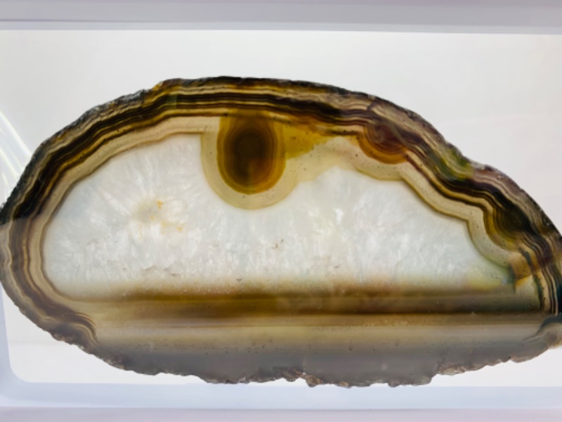 Photo 3 of 893185… 2 agate slices in 9 x 4” display 