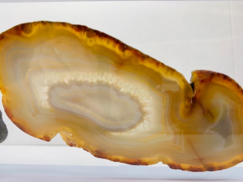 Photo 2 of 893185… 2 agate slices in 9 x 4” display 