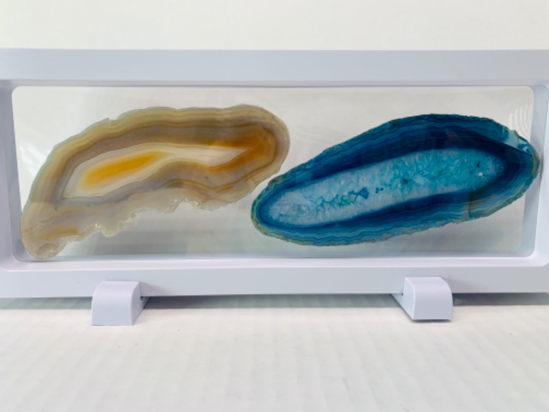 Photo 4 of 893186… 2 agate slices in 9 x 4” display 