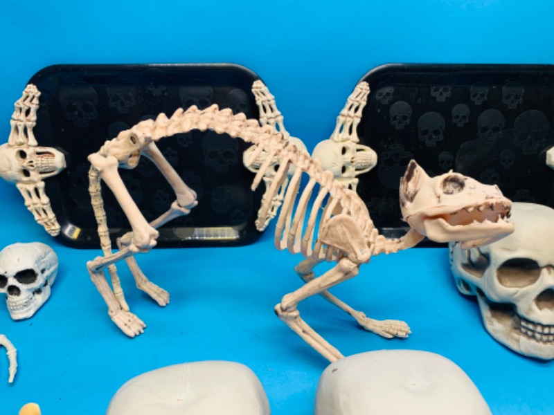 Photo 7 of 894187…used Halloween plastic skull and skeleton decorations 