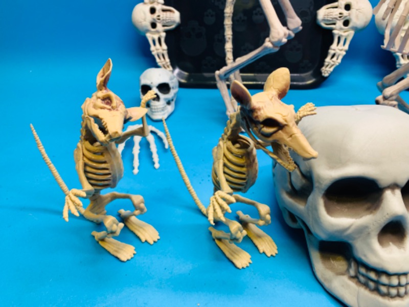 Photo 6 of 894187…used Halloween plastic skull and skeleton decorations 