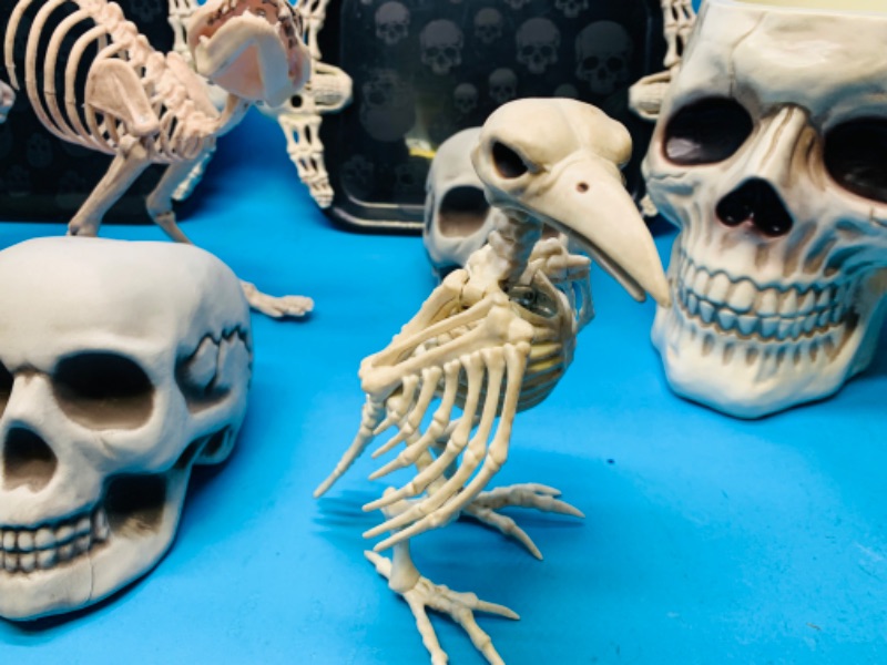 Photo 2 of 894187…used Halloween plastic skull and skeleton decorations 