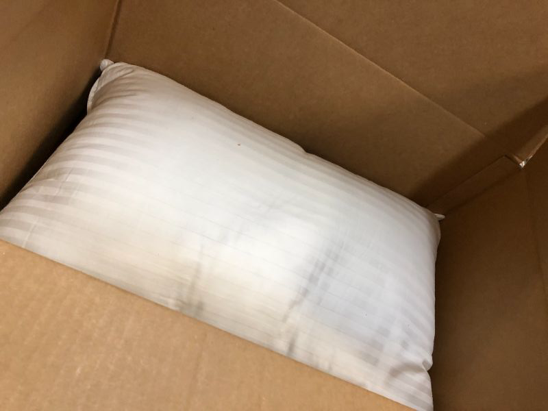 Photo 2 of 20"X28" white pillow 