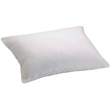 Photo 1 of 20"X28" white pillow 