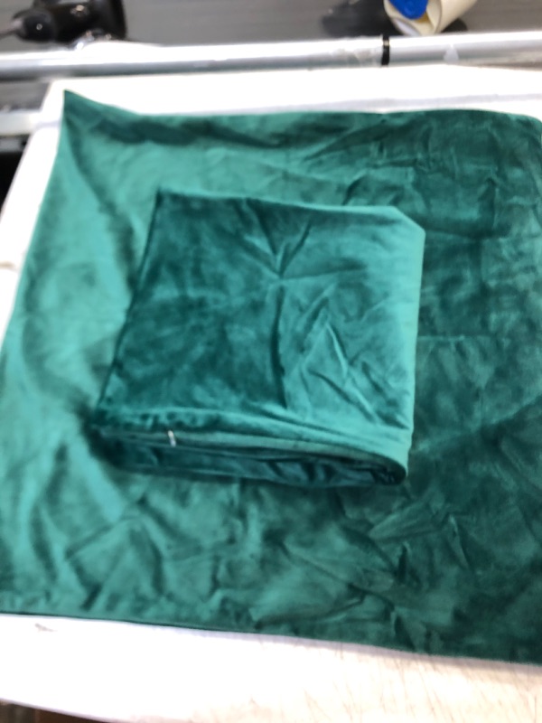 Photo 1 of 17x17 green pillow cases * 2 count 