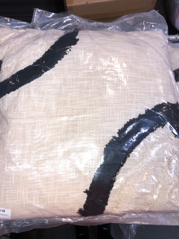 Photo 1 of YoTreasure Modern Decoration Throw pillow size 20x20 with tassel