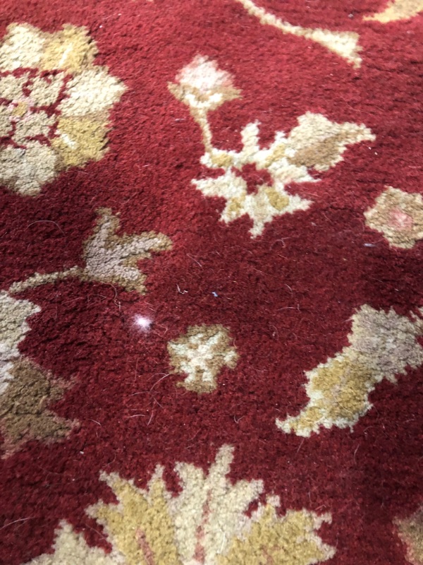 Photo 5 of ***HEAVILY USED AND DIRTY - FADED - SEE PICTURES***
Safavieh Heritage Huntington Traditional Area Rug or Runner, 6' Diameter