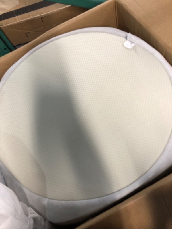 Photo 1 of ***USED - NO PACKAGING***
Squishmallows 24-Inch Gordon Shark Pet Bed - 24" x 24"