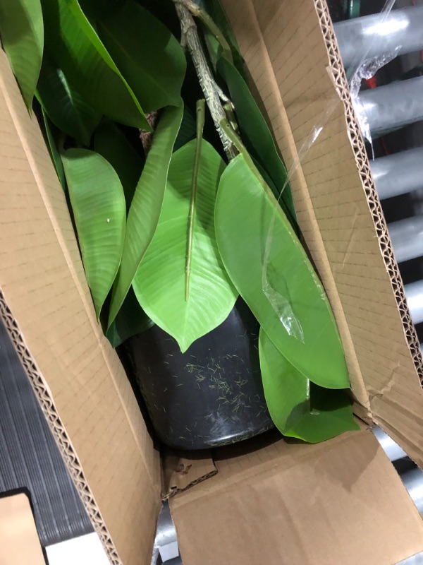 Photo 1 of Aphighjoy Fake Plant Rubber Tree Artificial