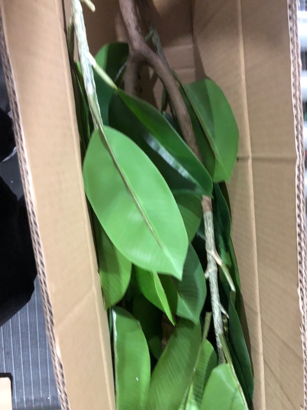 Photo 1 of Aphighjoy Fake Plant Rubber Tree Artificial