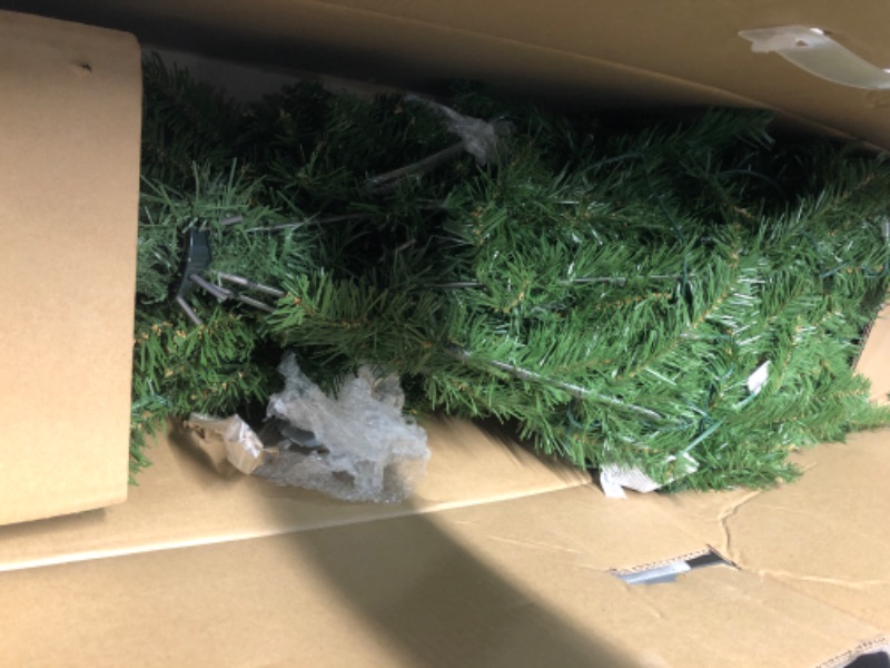 Photo 1 of 7FT HUDSON  PINE PRE - LIT TREE