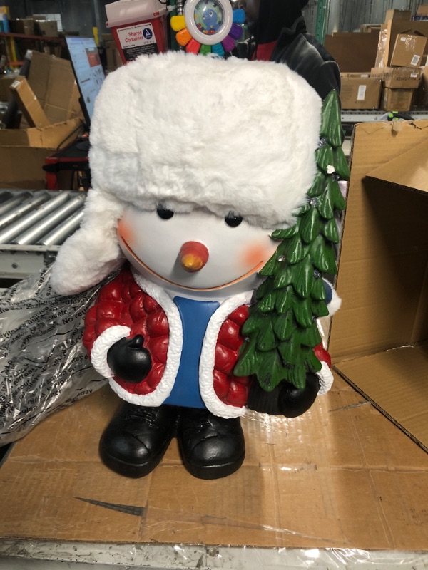 Photo 1 of 18 in snowman greeter'