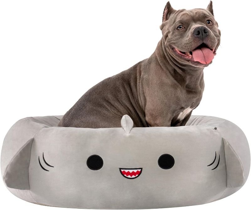 Photo 1 of (READ NOTES) Squishmallows 30-Inch Gordon Shark Pet Bed 