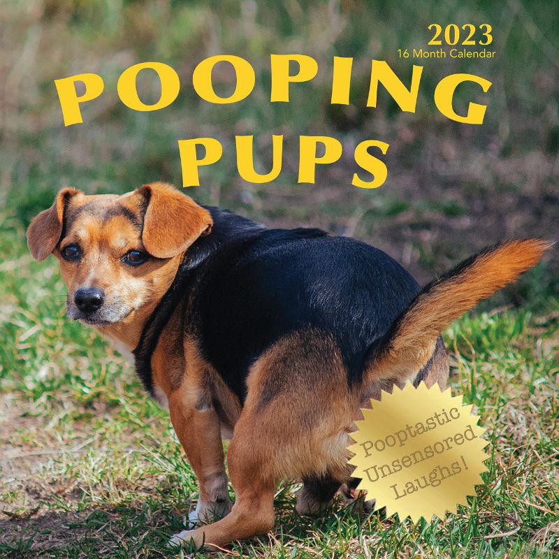 Photo 1 of 2 pack - Pooping Pups 2023 Hangable Wall Calendar - 12" x 24" Open - Fun Funny Crapping Dog Photo Gag Joke Gift - Crap Poop Puppy Dogs Photography - Large Full Page 16 Monthly for Organizing & Planning - Giftable Dirty Poo Prank For White Elephant, Yankee