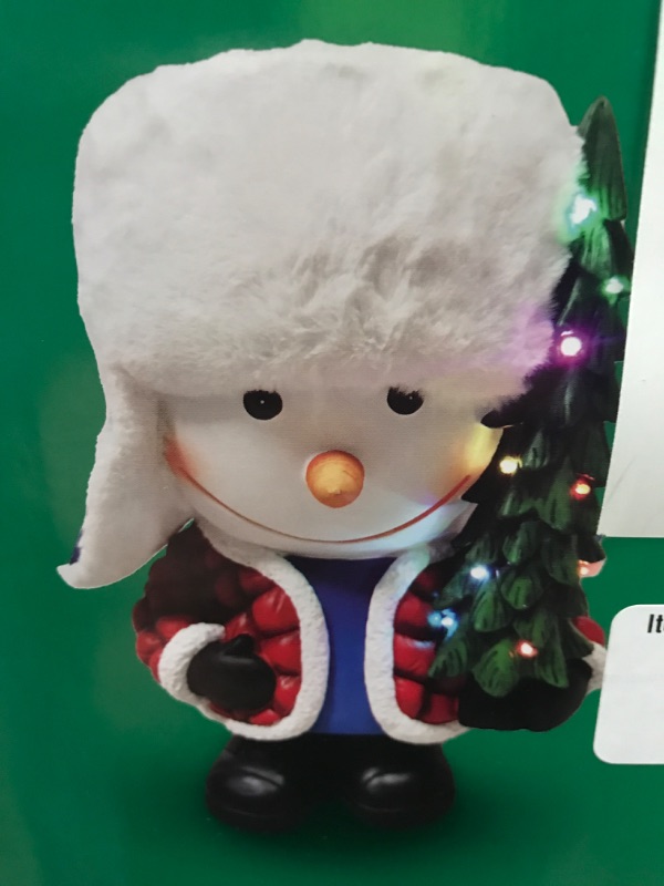 Photo 1 of 18" SNOWMAN GREETER 