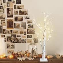 Photo 1 of  Birch Tree Light Tabletop Artificial Tree Light Warm White Light Table Lamp Battery Operated Tabletop Tree with Timer for Birthday Gift Room Festival Decoration Home Party