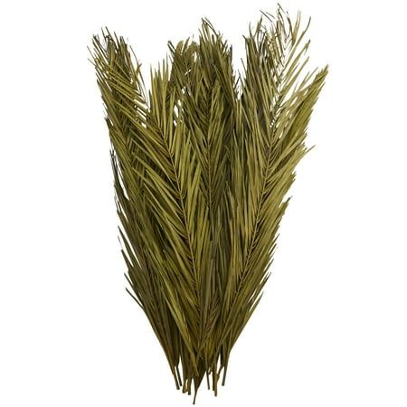 Photo 1 of 43 Dried Plant Natural Foliage Palm Leaf Bouquet with Feather Inspired Stems by DecMode
