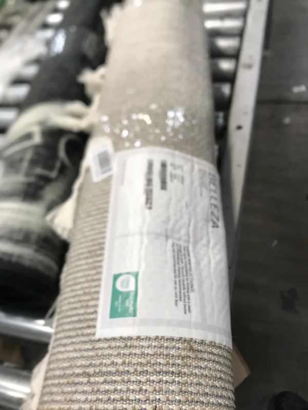 Photo 1 of 2x6 rug