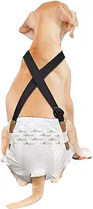 Photo 1 of Paw Inspired The Original Dog Diaper Suspenders | Belly Bands Canine Harness | Durable Dress & Diaper Keeper | Keep Diaper on Your Dog, for Small Medium and Large Dogs (S/M, Black)