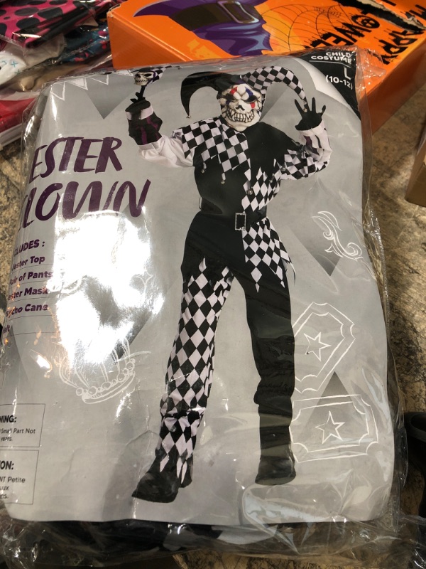 Photo 1 of JESTER CLOWN COSTUME SIZE L