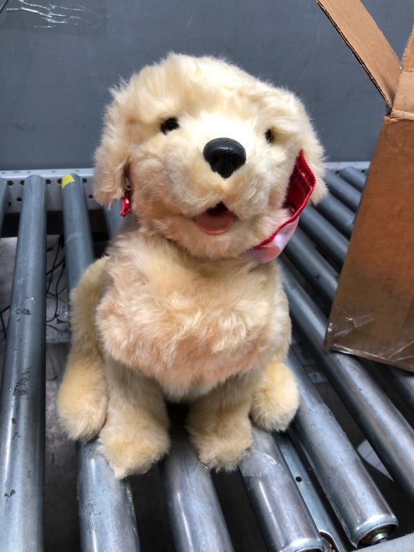 Photo 2 of Ageless Innovation Joy For All - Companion Pets Golden Pup Lifelike & Realistic Brown