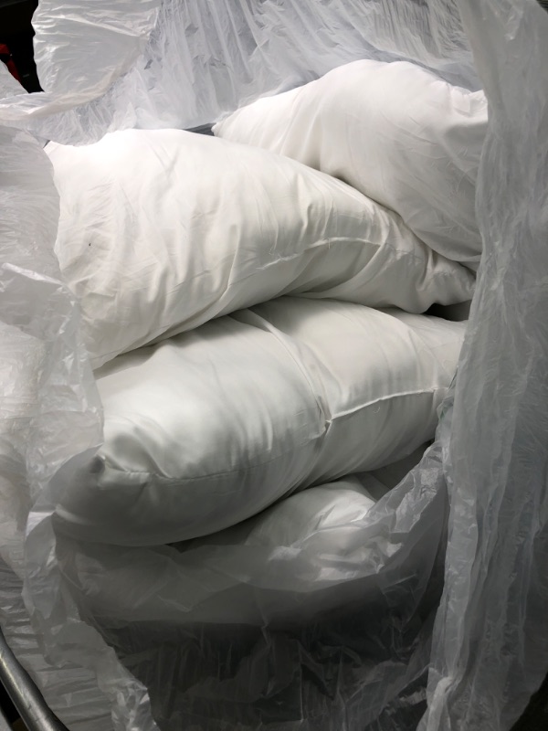 Photo 1 of 4 generic white pillows