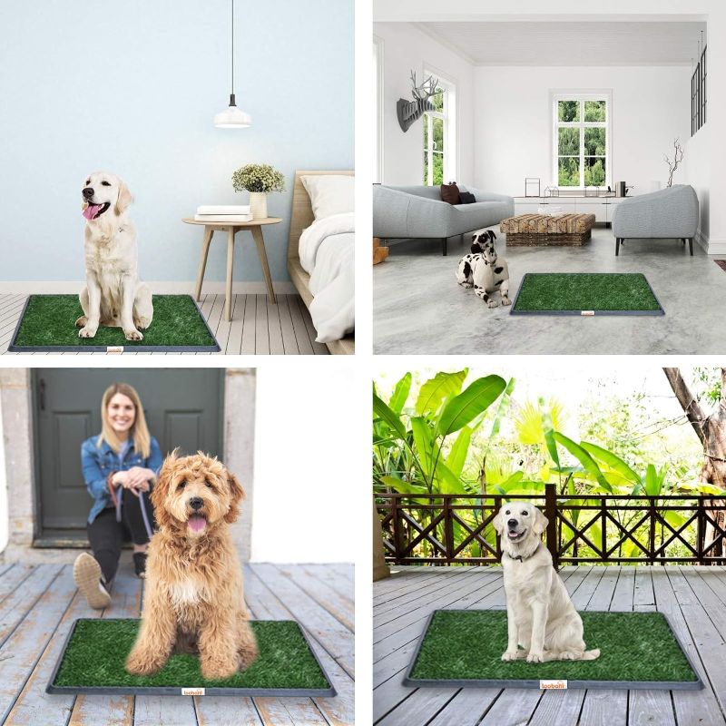 Photo 1 of LOOBANI Dog Grass Pad with Tray Large, Indoor Dog Potties for Apartment and Patio Training, with 2 Packs Loobani Dog Grass Pee Pads for Replacement (16 * 20 Inch)