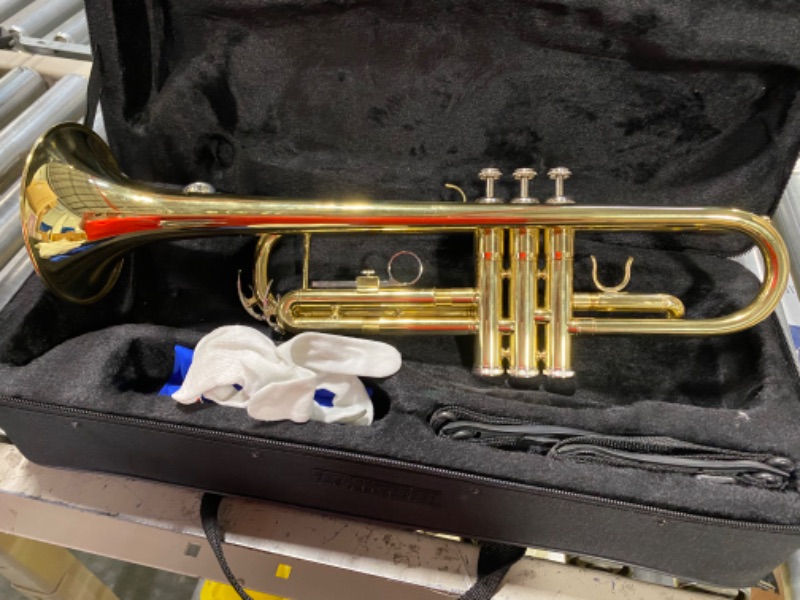 Photo 7 of Aileen Lexington Standard Gold Bb Student Model Trumpet Includes Hard Case, Cleaning Rod and Cloth, Gloves
