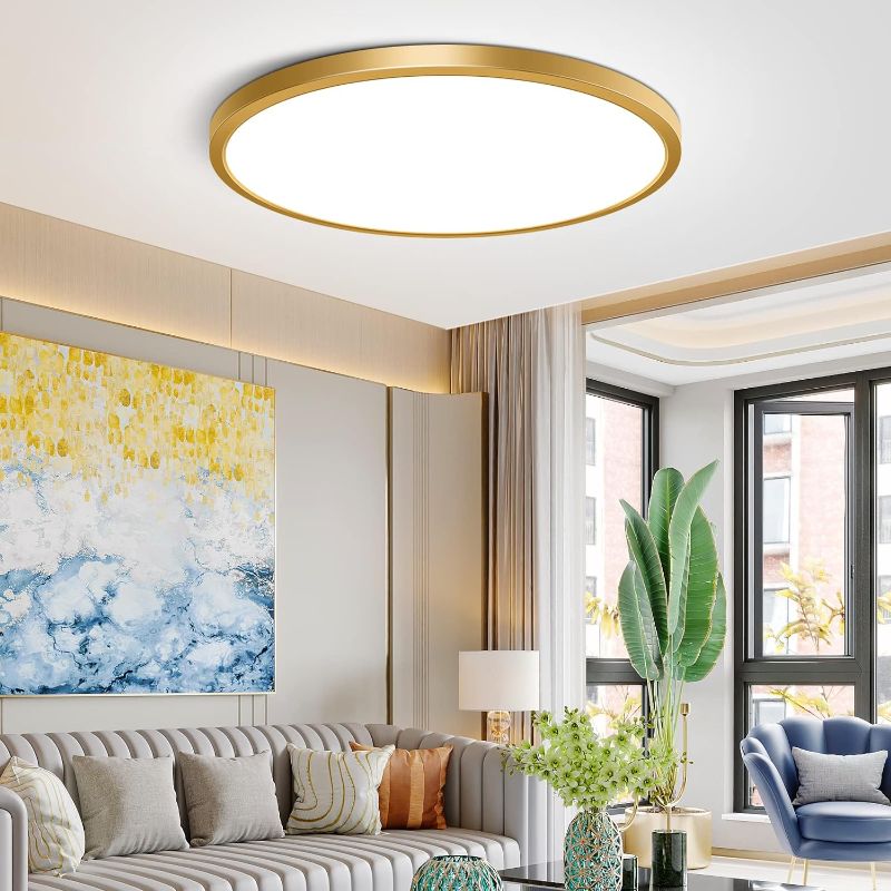 Photo 1 of 12Inch LED Ceiling Light Fixture Flush Mount, 24W(240W Equivalent), 3200LM, 5000K Daylight White, IP40, Flat Modern Round Ceiling Light for Bedrooms, Living Rooms, Bathrooms, Stairwells, etc.(Gold)