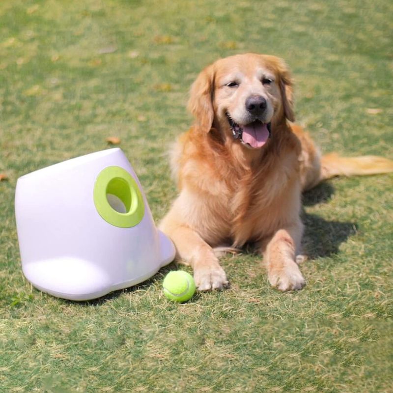 Photo 2 of ALL FOR PAWS Dog Ball Launcher Automatic Maxi,Automatic Ball Launcher for Dogs,Ball Thrower for Dogs,Dog Toys Interactive,Includes 3pcs Tennis Balls for Dogs
