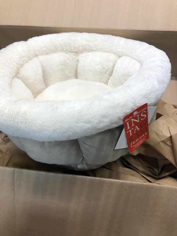 Photo 3 of Best Friends by Sheri Cuddle Cup Ilan Cozy Microfiber Cat and Dog Bed in Standard Wheat Bed - Standard Wheat