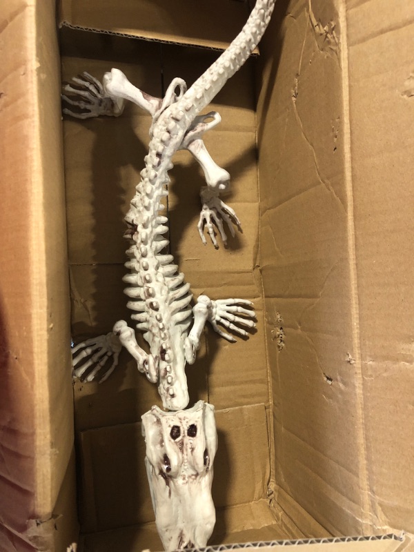 Photo 2 of Crocodile Skeleton Halloween Decoration (2 Pack) 20" Long-Weather Resistant for Indoor/Outdoor-Upgrade Your Fall Graveyard Haunted House Party Props, Trick-or-Treat Decor, School Classroom, or Office