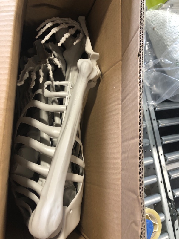 Photo 1 of 5'4" Halloween Skeleton Life Size - Plastic Skeletons with Freely Movable Joints, Posable Realistic Full Body Human Bones, Weatherproof Outdoor Decorations,Hanging Porch Decor (White)