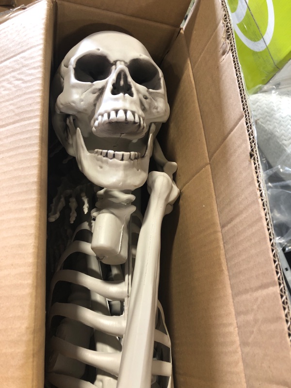 Photo 3 of 5'4" Halloween Skeleton Life Size - Plastic Skeletons with Freely Movable Joints, Posable Realistic Full Body Human Bones, Weatherproof Outdoor Decorations,Hanging Porch Decor (White)