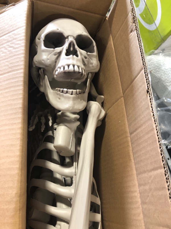 Photo 1 of 5'4" Halloween Skeleton Life Size - Plastic Skeletons with Freely Movable Joints, Posable Realistic Full Body Human Bones, Weatherproof Outdoor Decorations,Hanging Porch Decor (White)